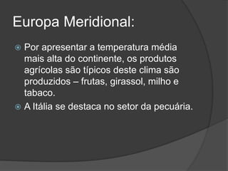 Europa Meridional:
 Por apresentar a temperatura média
mais alta do continente, os produtos
agrícolas são típicos deste clima são
produzidos – frutas, girassol, milho e
tabaco.
 A Itália se destaca no setor da pecuária.
 
