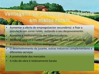 Vantagens da presença da indústria em meios ruraisAumentar a oferta de emprego(sector secundário)  e fixar a população em zonas rurais,  evitando o seu despovoamento.Aumento e melhoramento das infra-estruturas.Melhores salários e melhores condições de vida da população.A valorização dos recursos endógenos.O desenvolvimento da jusante, outras indústrias complementares e diferentes serviçosA proximidade dos mercadosA mão-de-obra é relativamente barata