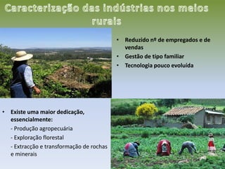 Caracterização das indústrias nos meios ruraisReduzido nº de empregados e de vendasGestão de tipo familiarTecnologia pouco evoluída Existe uma maior dedicação, essencialmente:     - Produção agropecuária     - Exploração florestal     - Extracção e transformação de rochas e minerais