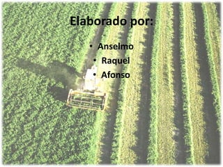 Elaborado por:
   • Anselmo
    • Raquel
    • Afonso
 