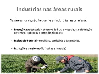 Industrias nas áreas rurais
Nas áreas rurais, são frequente as industrias associadas á:

– Produção agropecuária – conserva de fruta e vegetais, transformação
  de tomate, lacticínios e carne, lanifícios, etc.

– Exploração florestal – mobiliário, corticeiras e carpintarias.

– Extracção e transformação (rochas e minerais)
 