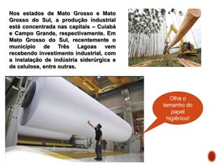 Nos estados de Mato Grosso e Mato
Grosso do Sul, a produção industrial
está concentrada nas capitais – Cuiabá
e Campo Grande, respectivamente. Em
Mato Grosso do Sul, recentemente o
município de Três Lagoas vem
recebendo investimento industrial, com
a instalação de indústria siderúrgica e
de celulose, entre outras.
Olha o
tamanho do
papel
higiênico!
 