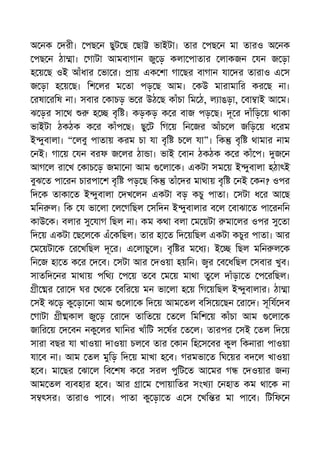 অ নক দরী। পছ ন ছুট ছ ছা ভাইটা। তার পছ ন মা তারও অ নক
পছ ন ঠা া। গাটা আমবাগান জু ড় কলা পাতার লাকজন যন জ ড়া
হ য় ছ ওই আঁধার ভা র। ায় এক শা গা ছর বাগান যা দর তারাও এ স
জ ড়া হ য় ছ। িশ লর ম তা পড় ছ আম। কউ মারামাির কর ছ না।
রষা রিষ না। সবার কাচড় ভ র উঠ ছ কাঁচা িম ঠ, ল াঙড়া, বা াই আ ম।
ঝ ড়র সা থ হ বৃি । কড়কড় ক র বাজ পড় ছ। দূ র দাঁিড় য় থাকা
ভাইটা ঠকঠক ক র কাঁপ ছ। ছু ট িগ য় িন জর আঁচ ল জিড় য় ধ রম
ই ুবালা। “ লবু পাতায় করম চা যা বৃি চ ল যা”। িক বৃি থামার নাম
নই। গা য় যন বরফ জ লর ঠা া। ভাই বান ঠকঠক ক র কাঁ প। জ ন
আগ ল রা খ কাচ ড় জমা না আম লা ক। একটা সম য় ই ুবালা হঠাৎই
বুঝ ত পা রন চারপা শ বৃি পড় ছ িক তাঁ দর মাথায় বৃি নই কন? ওপর
িদ ক তাকা ত ই ুবালা দখ লন একটা বড় কচু পাতা। সটা ধ র আ ছ
মিন ল। িক য ভা লা ল গিছল সিদন ই ুবালার ব ল বাঝা ত পা রনিন
কাউ ক। বলার সু যাগ িছল না। কম কথা বলা ম য়টা মা লর ওপর সু তা
িদ য় একটা ছ ল ক এঁ কিছল। তার হা ত িদ য়িছল একটা কচুর পাতা। আর
ম য়টা ক র খিছল দূ র। এ লাচু ল। বৃি র ম ধ । ই িছল মিন ল ক
িন জ হা ত ক র দ ব। সটা আর দওয়া হয়িন। র ব ধিছল সবার খুব।
সাতিদ নর মাথায় পিথ প য় ত ব ম য় মাথা তু ল দাঁড়া ত প রিছল।
ী র রা দ ঘর থ ক বির য় মন ভা লা হ য় িগ য়িছল ই ুবালার। ঠা া
সই ঝ ড় কু ড়া না আম লা ক িদ য় আম তল বিস য় ছন রা দ। সূিয দব
গাটা ী কাল জু ড় রা দ তািত য় ত ল িমিশ য় কাঁচা আম লা ক
জাির য় দ বন নকু লর ঘািনর খাঁিট স ষর ত ল। তারপর সই তল িদ য়
সারা বছর যা খাওয়া দাওয়া চল ব তার কান িহ স বর কুল িকনারা পাওয়া
যা ব না। আম তল মুিড় িদ য় মাখা হ ব। গরমভা ত িঘ য়র বদ ল খাওয়া
হ ব। মা ছর ঝা ল িব শষ ক র সরল পুিট ত আ মর গ দওয়ার জন
আম তল ব বহার হ ব। আর া ম পায়ািতর সংখ া নহাত কম থা ক না
স ৎসর। তারাও পা ব। পাতা কু ড়া ত এ স খি র মা পা ব। িটিফ ন
 