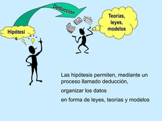 DeducciónTeorías, leyes, modelosHipótesisLas hipótesis permiten, mediante un proceso llamado deducción,organizar los datosen forma de leyes, teorías y modelos