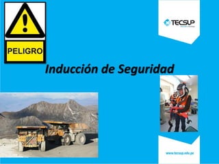 Inducción de Seguridad

 