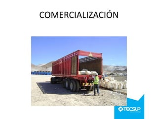 COMERCIALIZACIÓN

 