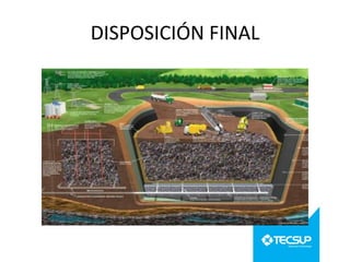 DISPOSICIÓN FINAL

 