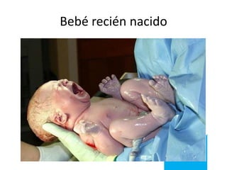 Bebé recién nacido

 