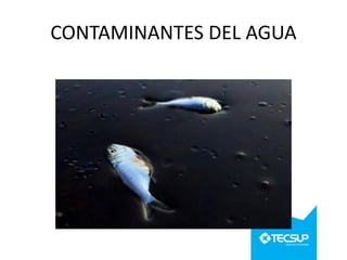 CONTAMINANTES DEL AGUA

 