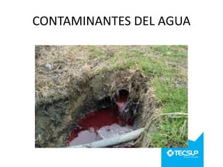 CONTAMINANTES DEL AGUA

 