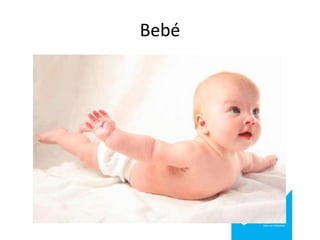 Bebé

 