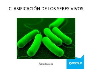 CLASIFICACIÓN DE LOS SERES VIVOS

Reino: Bacteria

 