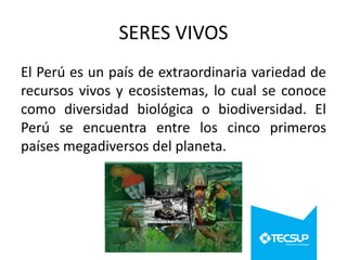 SERES VIVOS
El Perú es un país de extraordinaria variedad de
recursos vivos y ecosistemas, lo cual se conoce
como diversidad biológica o biodiversidad. El
Perú se encuentra entre los cinco primeros
países megadiversos del planeta.

 