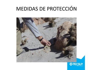 MEDIDAS DE PROTECCIÓN

 