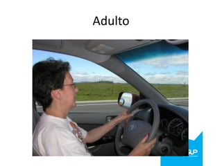 Adulto

 