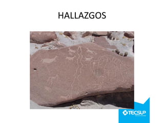 HALLAZGOS

 