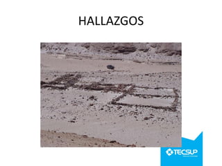 HALLAZGOS

 