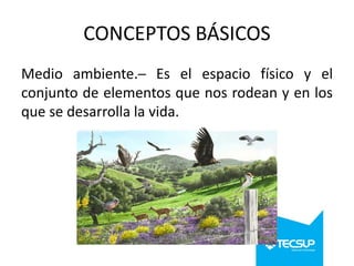 CONCEPTOS BÁSICOS
Medio ambiente.─ Es el espacio físico y el
conjunto de elementos que nos rodean y en los
que se desarrolla la vida.

 