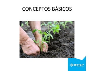CONCEPTOS BÁSICOS

 