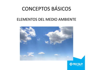 CONCEPTOS BÁSICOS
ELEMENTOS DEL MEDIO AMBIENTE

 