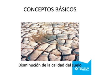 CONCEPTOS BÁSICOS

Disminución de la calidad del suelo

 