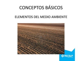 CONCEPTOS BÁSICOS
ELEMENTOS DEL MEDIO AMBIENTE

 