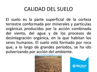 CALIDAD DEL SUELO
El suelo es la parte superficial de la corteza
terrestre conformada por minerales y partículas
orgánicas producidas por la acción combinada
del viento, del agua y de los procesos de
desintegración orgánica, en la que habitan los
seres humanos. El suelo está formado por roca
que, a lo largo de grandes periodos, se ha ido
pulverizando por acción del ambiente.

 