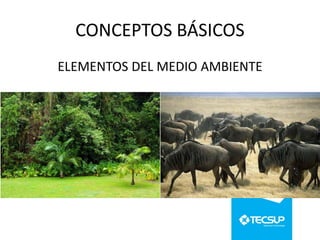 CONCEPTOS BÁSICOS
ELEMENTOS DEL MEDIO AMBIENTE

 