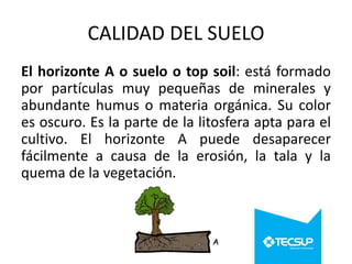 CALIDAD DEL SUELO
El horizonte A o suelo o top soil: está formado
por partículas muy pequeñas de minerales y
abundante humus o materia orgánica. Su color
es oscuro. Es la parte de la litosfera apta para el
cultivo. El horizonte A puede desaparecer
fácilmente a causa de la erosión, la tala y la
quema de la vegetación.

 