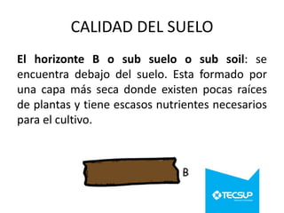CALIDAD DEL SUELO
El horizonte B o sub suelo o sub soil: se
encuentra debajo del suelo. Esta formado por
una capa más seca donde existen pocas raíces
de plantas y tiene escasos nutrientes necesarios
para el cultivo.

 