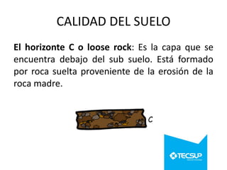 CALIDAD DEL SUELO
El horizonte C o loose rock: Es la capa que se
encuentra debajo del sub suelo. Está formado
por roca suelta proveniente de la erosión de la
roca madre.

 