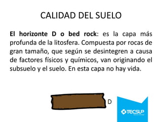 CALIDAD DEL SUELO
El horizonte D o bed rock: es la capa más
profunda de la litosfera. Compuesta por rocas de
gran tamaño, que según se desintegren a causa
de factores físicos y químicos, van originando el
subsuelo y el suelo. En esta capa no hay vida.

 