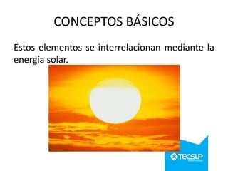 CONCEPTOS BÁSICOS
Estos elementos se interrelacionan mediante la
energía solar.

 