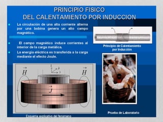 HORNOS DE INDUCCIÓN