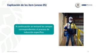16
Inducción Específica
Explicación de los ítem (anexo 05)
A continuación se revisará los campos
correspondientes al proceso de
inducción específica.
 