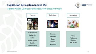 22
Inducción Específica
Explicación de los ítem (anexo 05)
Agentes Físicos, Químicos y Biológicos en las áreas de trabajo
Físicos
Iluminación
Radiación
Calor
Vibraciones
Ruido
Temperatura
Químicos Biológicos
Humos
Vapores
Gases
Polvos
Neblinas
Virus
Protozoos
Hongos
Bacterias
 