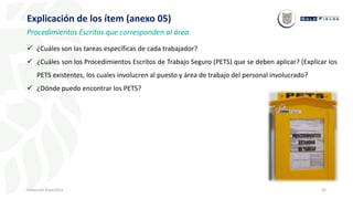 45
Inducción Específica
Explicación de los ítem (anexo 05)
Procedimientos Escritos que corresponden al área
 ¿Cuáles son las tareas específicas de cada trabajador?
 ¿Cuáles son los Procedimientos Escritos de Trabajo Seguro (PETS) que se deben aplicar? (Explicar los
PETS existentes, los cuales involucren al puesto y área de trabajo del personal involucrado?
 ¿Dónde puedo encontrar los PETS?
 