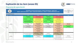55
Inducción Específica
Explicación de los ítem (anexo 05)
Programa de capacitación
 