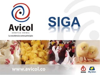 Induccion avicol 2020 | PPT