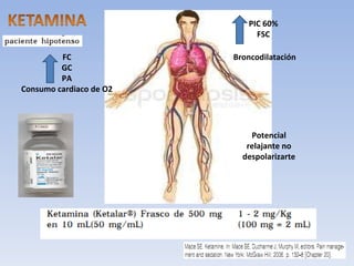 PIC 60% FSC FC GC PA Consumo cardiaco de O2 Broncodilatación Potencial relajante no despolarizarte 