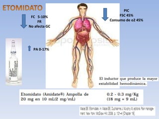 PIC FSC 45% Consumo de o2 45% FC  5-10% FR No afecta GC PA 0-17% 