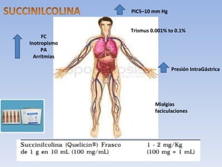 PIC5–10 mm Hg FC Inotropismo PA Arritmias Presión IntraGástrica Mialgias faciculaciones Trismus 0.001% to 0.1% 