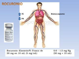Bronco espasmo FC PA 