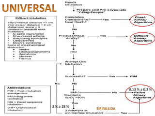 0.13 % a 0.3 % 3 % a 18 % 