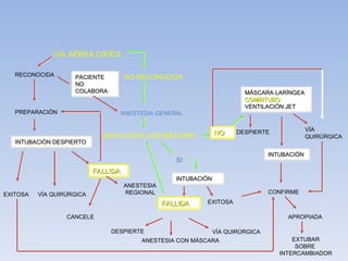 RECONOCIDA PREPARACIÓN INTUBACIÓN DESPIERTO EXITOSA VÍA QUIRÚRGICA VÍA AÉREA DIFÍCIL NO RECONOCIDA ANESTESIA GENERAL VENTILACIÓN  CON MÁSCARA SI FALLIDA ANESTESIA REGIONAL INTUBACIÓN FALLIDA EXITOSA DESPIERTE ANESTESIA CON MÁSCARA NO MÁSCARA LARÍNGEA COMBITUBO VENTILACIÓN JET DESPIERTE CONFIRME VÍA  QUIRÚRGICA APROPIADA EXTUBAR SOBRE  INTERCAMBIADOR PACIENTE NO  COLABORA CANCELE INTUBACIÓN VÍA QUIRÚRGICA 
