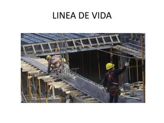 LINEA DE VIDA
 