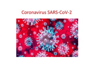 Coronavirus SARS-CoV-2
 