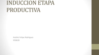 INDUCCION ETAPA
PRODUCTIVA
Andrés Felipe Rodriguez
959639
 