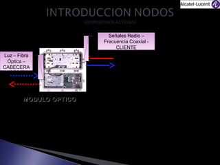Señales Radio ––
Señales Radio
Frecuencia Coaxial -Frecuencia Coaxial
CLIENTE
CLIENTE
Luz ––Fibra
Luz Fibra
Óptica ––
Óptica
CABECERA
CABECERA

Garantizar niveles de voltaje al
nodo (aprox. 90VAC).
Verificar niveles de potencia óptica
según el fabricante

MODULO OPTICO
Tarjeta TX: Hilo Naranja, encargada
de transformar señales de RF en
Señales Ópticas (LUZ)
Tarjeta RX: Hilo Azul, encargada de
transformar señales ópticas en RF.

Es necesario garantizar niveles de
Forward y Retorno, según los
estándares Telmex.
Niveles FW: Medidor de Campo
Niveles RV: Oscilador o Medidor
SDA 5000 o DSAM 6000

 