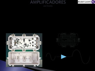 Elementos encargados de compensar las perdidas de
señal ocasionadas por el cable coaxial en las Redes HFC,
permiten mantener la ganancia unitaria en el sistema, es
decir que no exista diferencia entre un punto de la red y
otro.

 